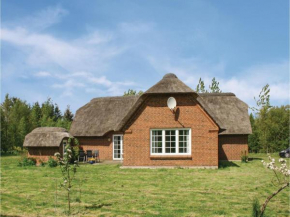 Four-Bedroom Holiday Home in Ulfborg